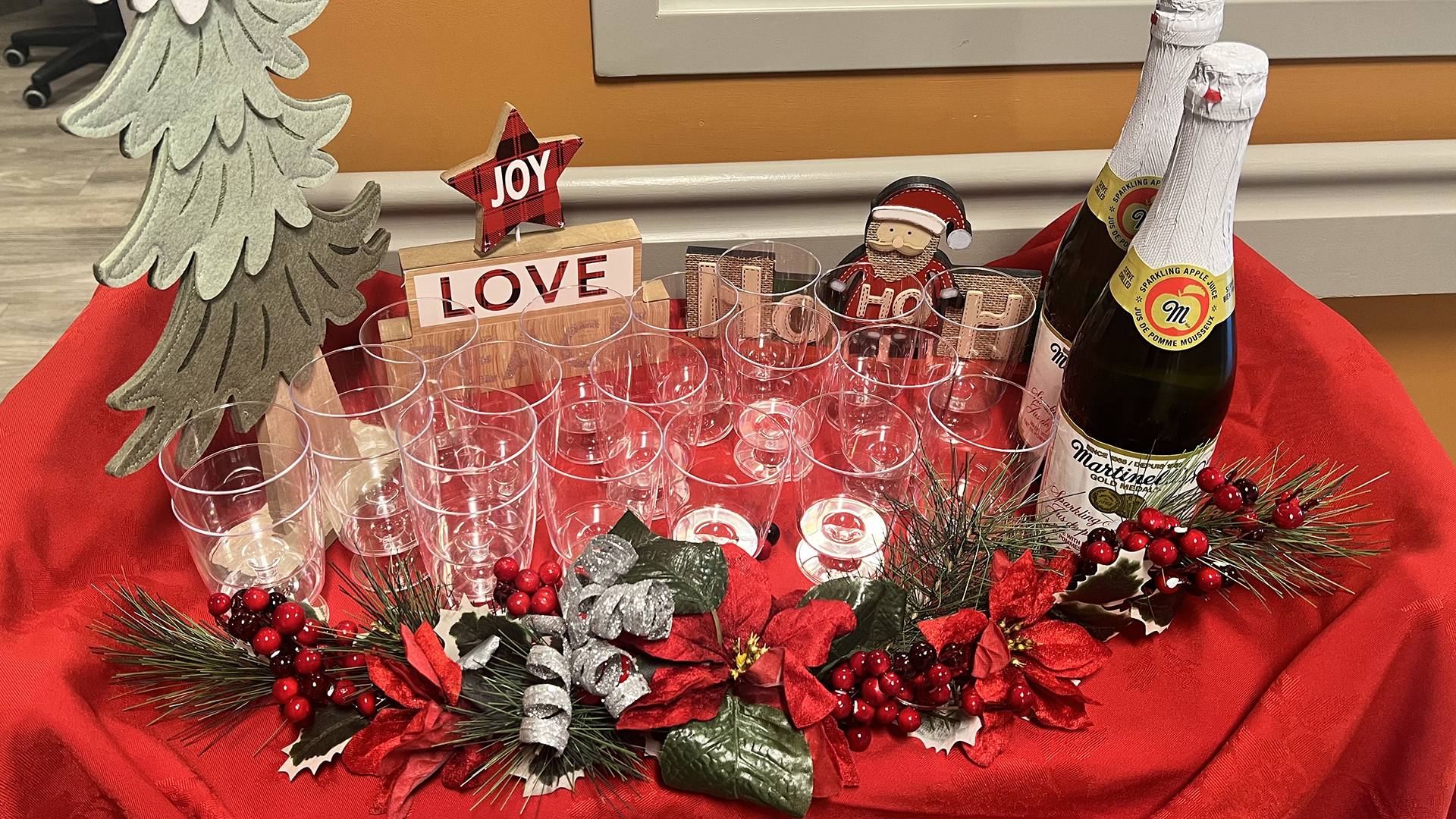 Featured image for “New Year Celebrations at New Vista Care Home”