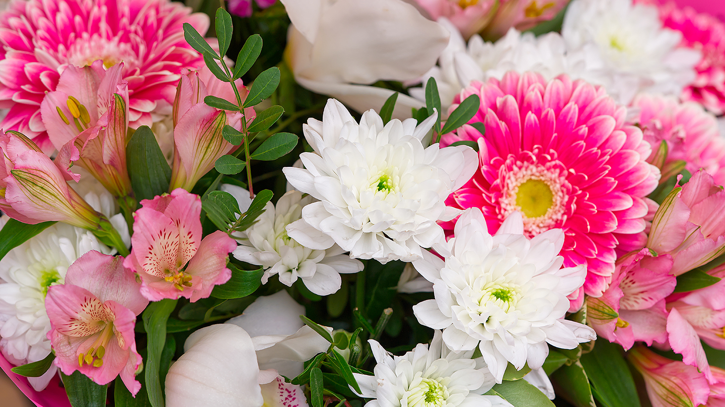 Featured image for “Celebrating Mother’s Day at New Vista”