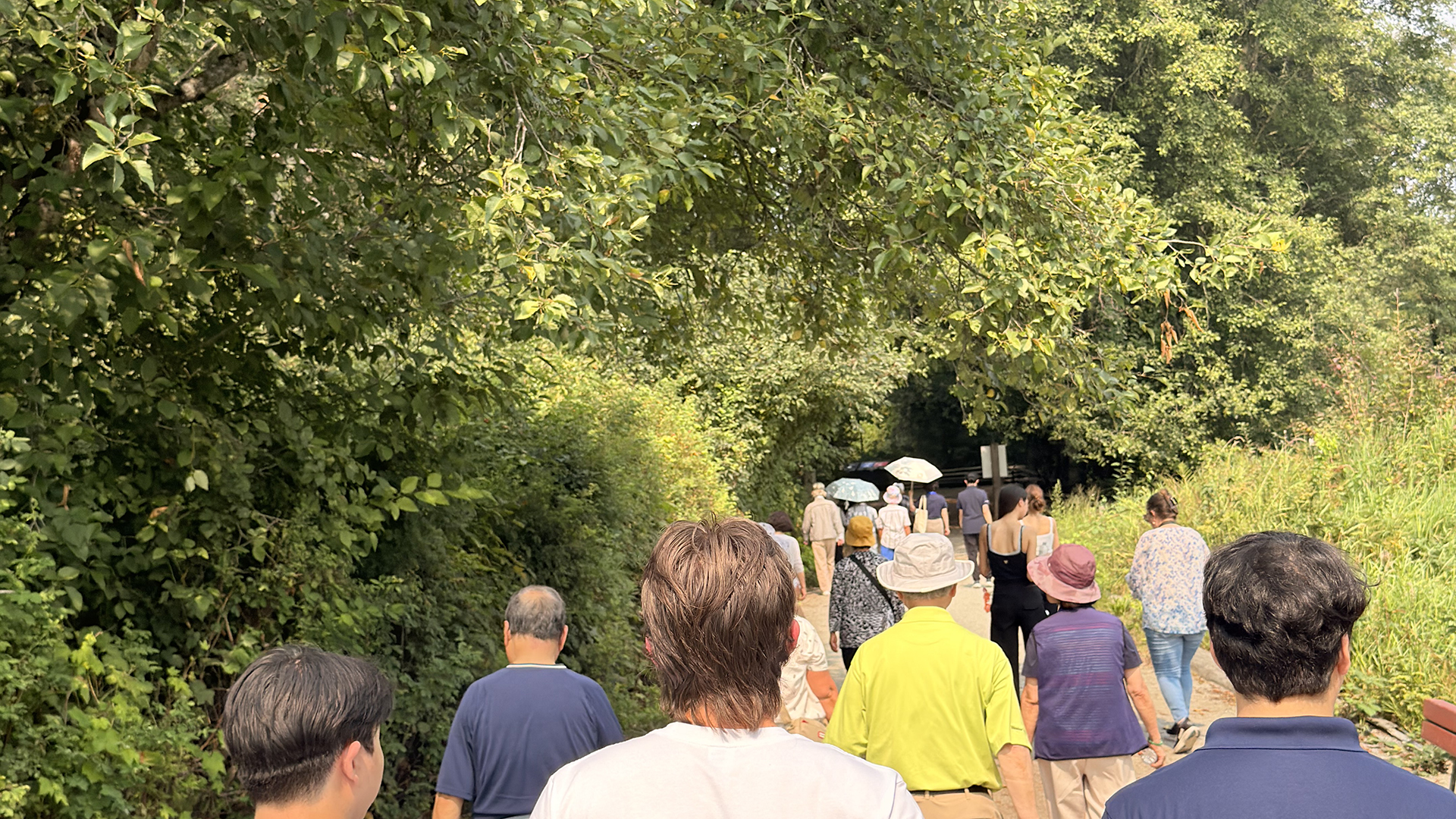 Featured image for “New Vista Tenants Enjoy Community Picnic at Burnaby Lake Park”